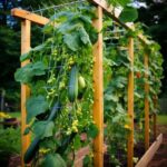 The Ultimate Guide to Aquaponics: Sustainable Farming for Your Home