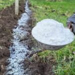 Efficient Watering with the Chapin Bucket: Revolutionizing Small-Scale Agriculture