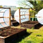 The Right Way to Build a Cucumber Trellis: A Comprehensive Step-by-Step Guide