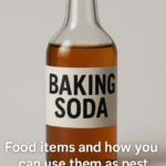 Vinegar