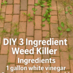 an innovative vertical gardening system