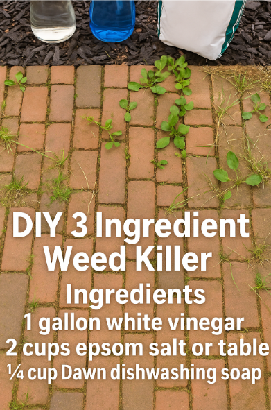 DIY 3 Ingredient Weed Killer