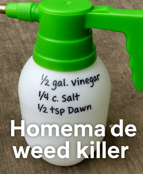 Homemade weed killer