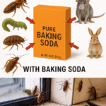 Pour Turmeric on Your Plants and Watch What Happens