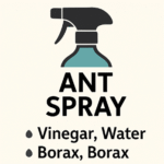 9 tips to keep insects away from your plants and improve their growth