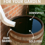 What to Plant in May
