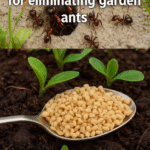 6 Natural Herbs That Improve Your Health