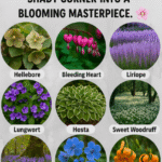Make your bougainvillea burst with blooms