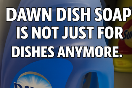 DAWN DISH SOAP IS NOT JUST FOR DISHES ANYMORE