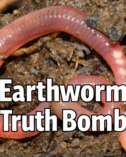 Earthworm Truth Bomb