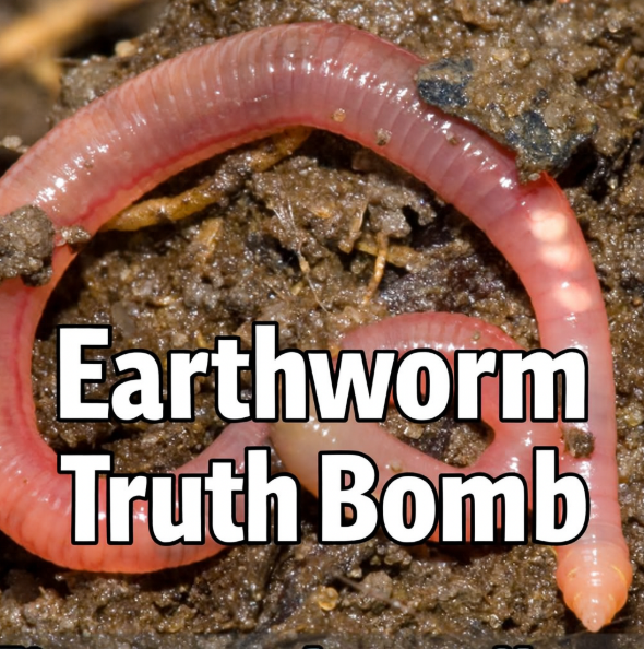 Earthworm Truth Bomb