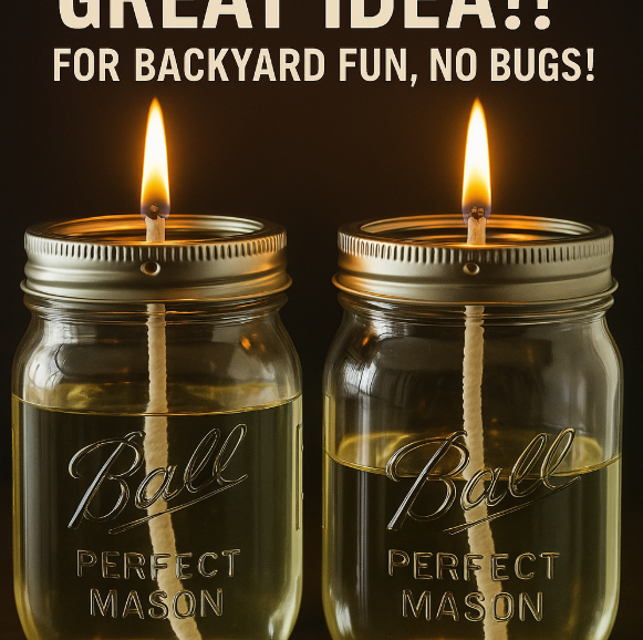 GREAT IDEA!! FOR BACKYARD FUN, NO BUGS