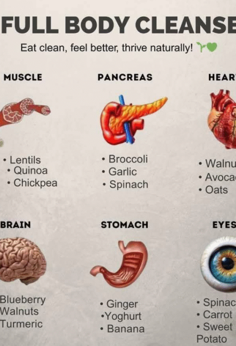 Nourish Every Organ with Food