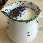 Bye-Bye Bugs